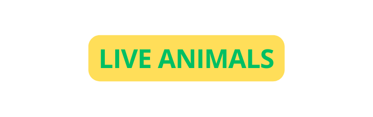 LIVE ANIMALS